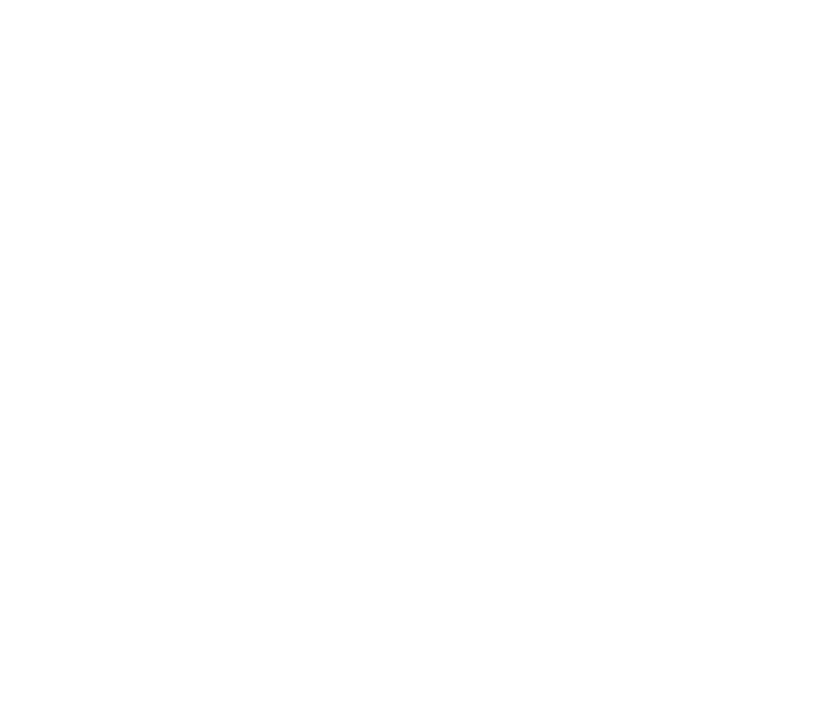 Go Pyrate!